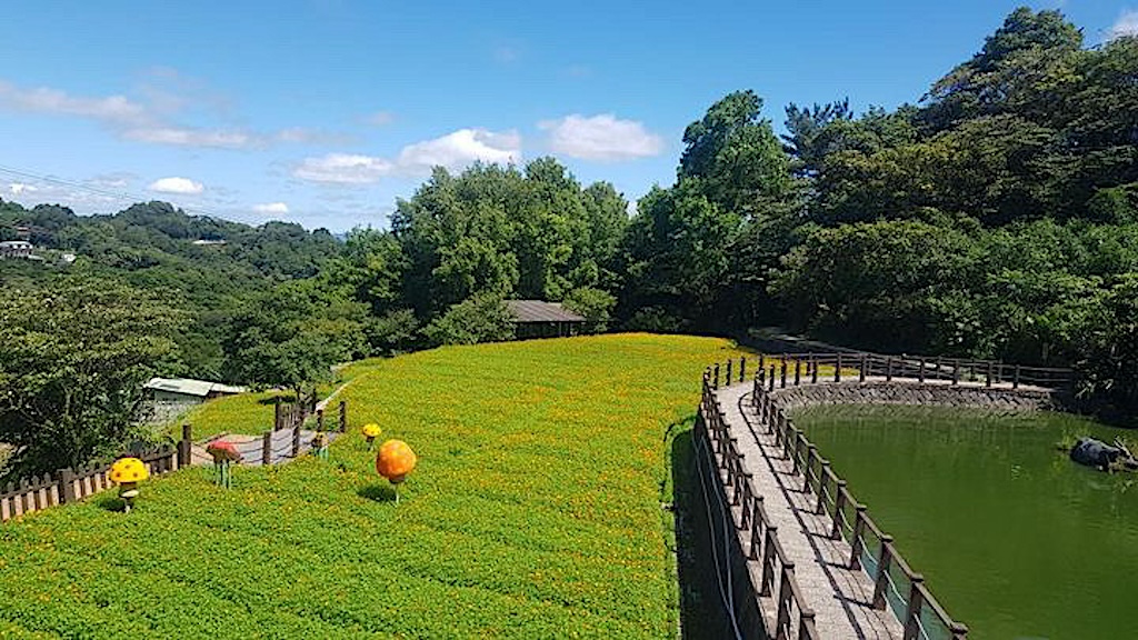 The Camphor Tree trail is a flat and easy hiking route in Maokong. (Photo・＠inkdrinker)