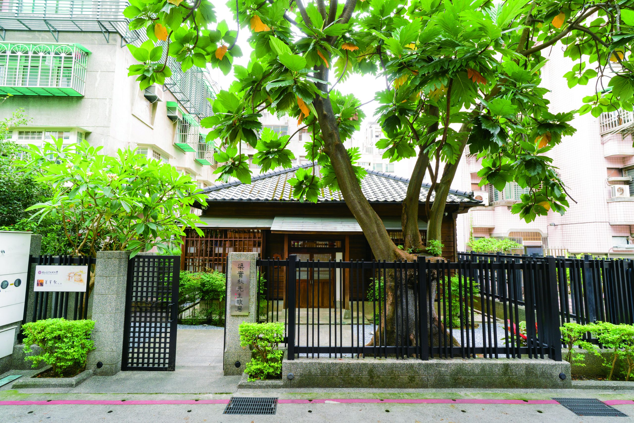  The huge breadfruit tree in the courtyard of the Liang Shih-Chiu House was planted by Liang himself to commemorate his wife’s passing.  (Photo・The Liang Shih-Chiu House)