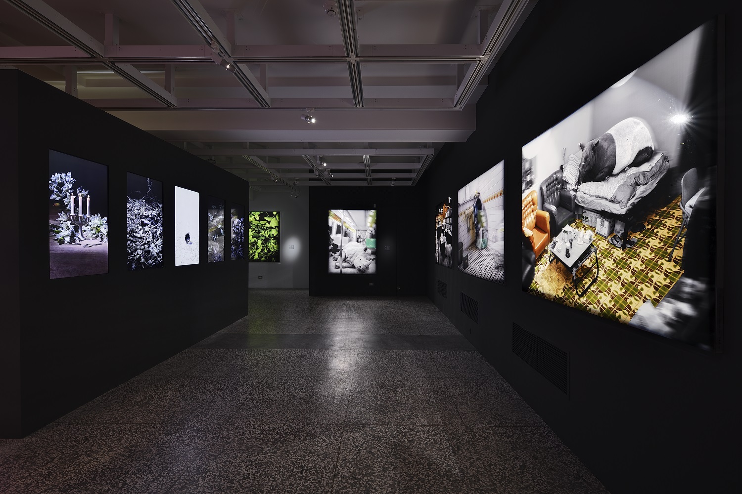 a photo exhibition in National Center of Photography and Images