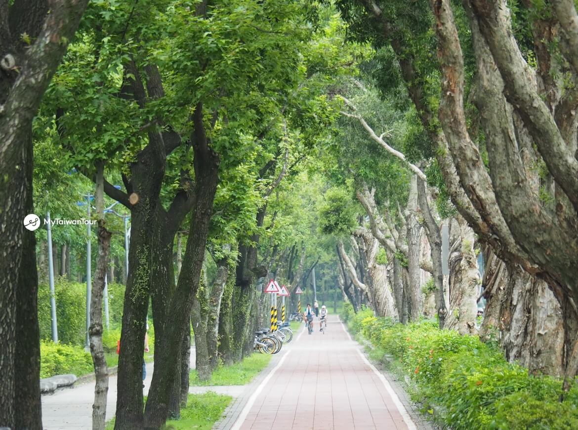 MyTaiwanTour_8 cycling route in Taiwan_taipei urban experience2.JPG